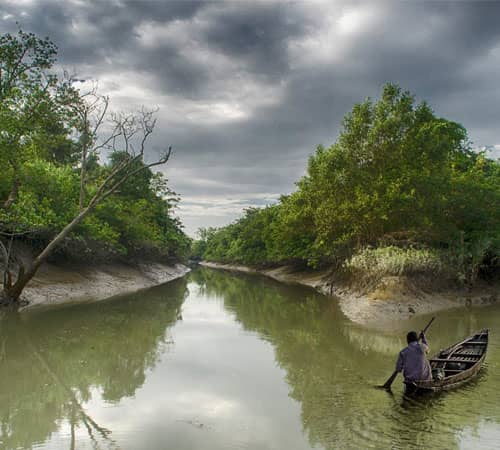 Sundarban tour 2 Nights 3 Days